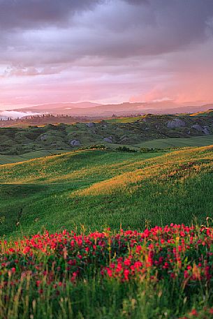 The beauty of the hills of Val d'Orcia in the spring time, Tuscany, Italy, Europe