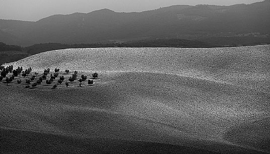 Natural landscape of Val d'Orcia, Tuscany, Italy, Europe