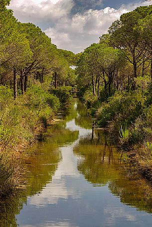 Parco dell'Uccellina Natural Reserve in the Natural Park of Maremma, Tuscany, Italy, Europe