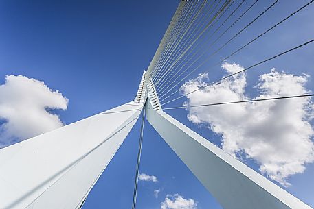 Detail of Erasmus bridge over the Nieuwe Maas (New Meuse) river, Rotterdam,  Netherlands