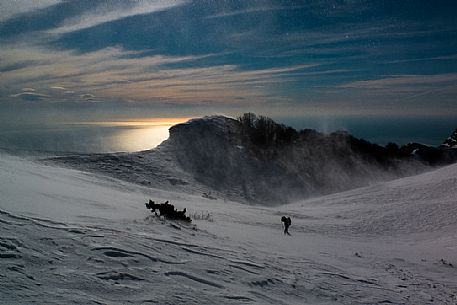 Man in the blizzard in the Apuane Alps, Sagro mount, Tuscany, Italy, Europe