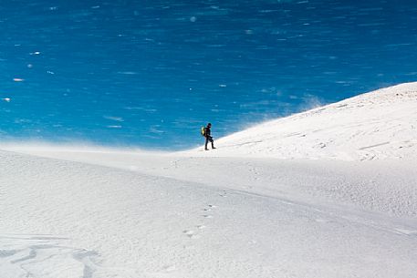 Man waling in the blizzard in the Apuane Alps, Sagro mount, Tuscany, Italy, Europe