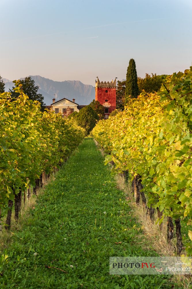 Liluti villa with the the red tower of the castle and the vineyards in the fall, Tarcento, Friuli Venezia Giulia, Italy