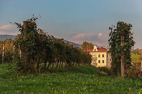 Liluti villa and the vineyards in the fall, Tarcento, Friuli Venezia Giulia, Italy