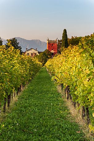 Liluti villa with the the red tower of the castle and the vineyards in the fall, Tarcento, Friuli Venezia Giulia, Italy
