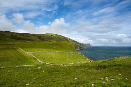 The green pastures of Ireland overlooking the sea