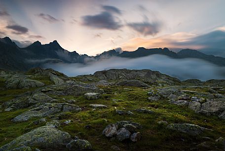 The Presanella mountain range at twilight from Nambrone valley, Madonna di Campiglio, dolomites, Trentino Alto Adige, Italy, Europe