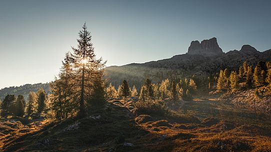 Autumnal sunrise and in the background the Averau peak, Falzarego pass, Cortina d'Ampezzo, dolomites, Veneto, Italy, Europe