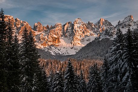 The Pale di San Martino dominate the fir forest of the Venegia valley during a winter sunset, San Martino di Castrozza, dolomites, Trentino Alto Adige, Italy, Europe