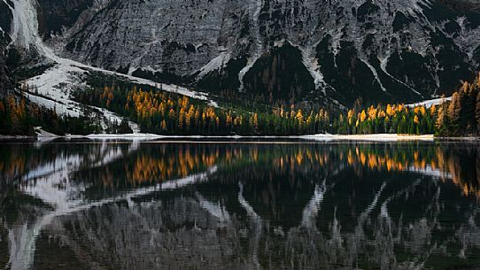 Detail of the Braies lake with a symmetrical composition. the first rays of daylight arrive on the larches in autumnal form, South Tyrol, Italy, Europe
