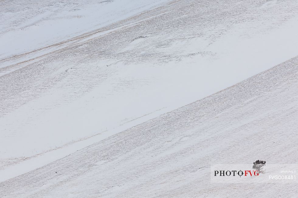 Graphisms of Piano Grande's hills, at the slopes of Monte Vettore, after a snowfall Graphisms of Piano Grande's hills, at the slopes of Monte Vettore, after a snowfall