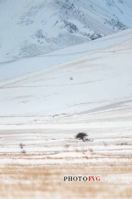 Graphisms of Piano Grande's hills, at the slopes of Monte Vettore, after a snowfall Graphisms of Piano Grande's hills, at the slopes of Monte Vettore, after a snowfall