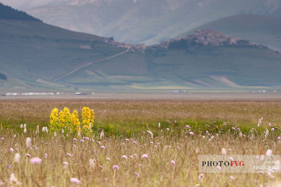 View of Castelluccio from Piano Grande during a spring flowering View of Castelluccio from Piano Grande during a spring flowering