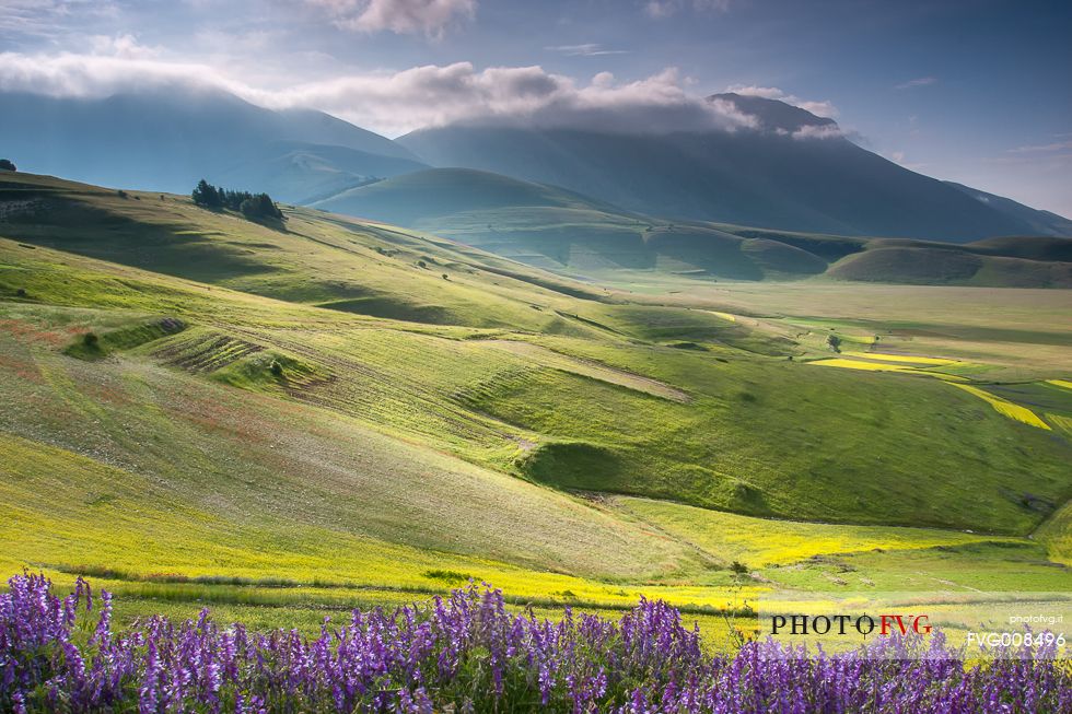 Morning view of Castelluccio, Piano Piccolo and Monte Vettore during the spring flowering