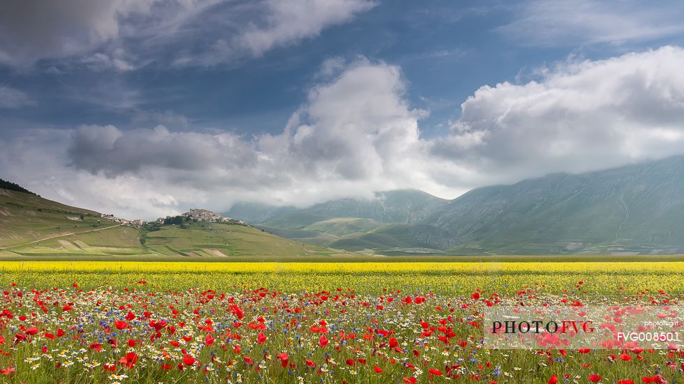 View of Castelluccio from Piano Grande during a spring flowering View of Castelluccio from Piano Grande during a spring flowering