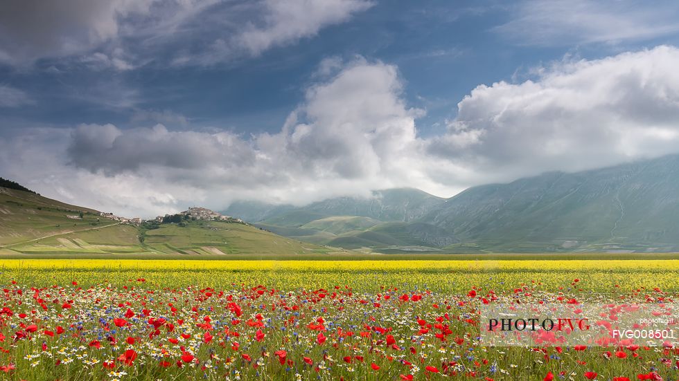 View of Castelluccio from Piano Grande during a spring flowering