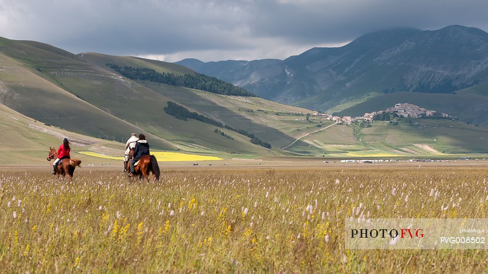 View of Castelluccio from Piano Grande during a spring flowering with horses View of Castelluccio from Piano Grande during a spring flowering with horses