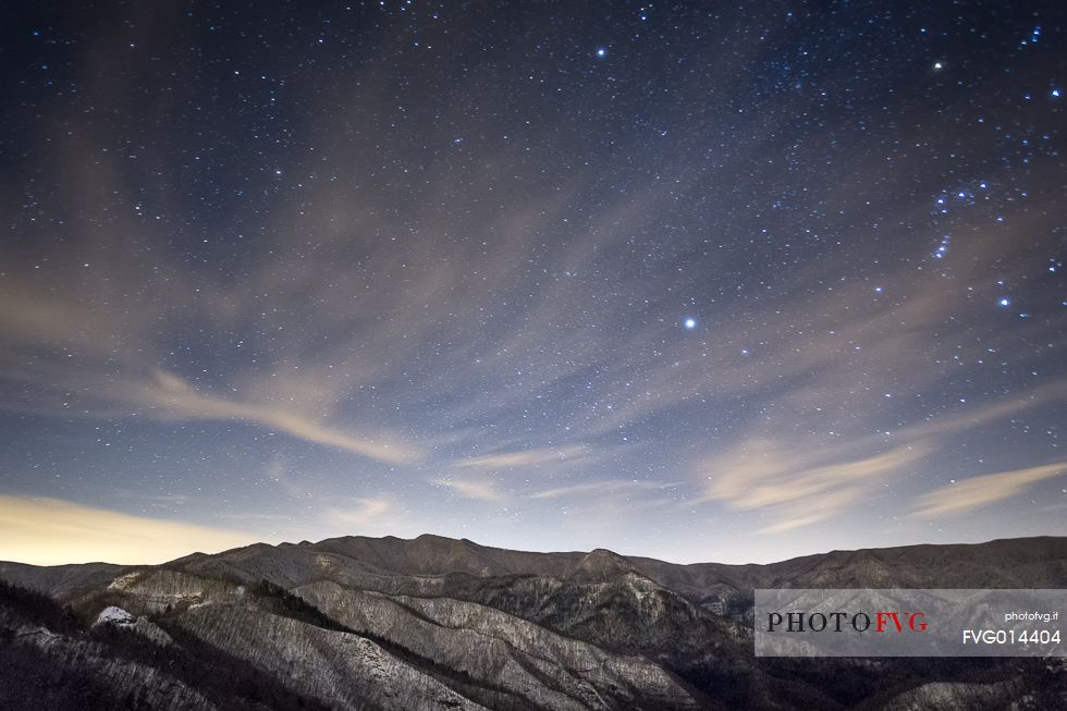 Starry sky over the forest