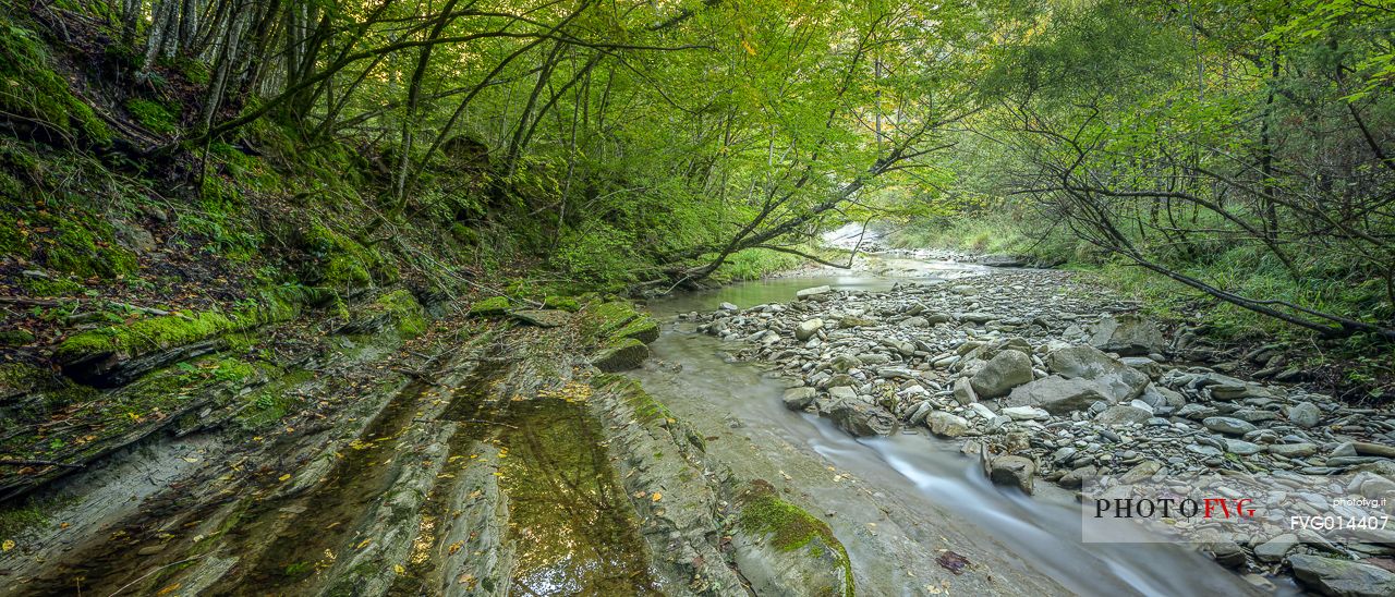 Bidente di Pietrapazza river