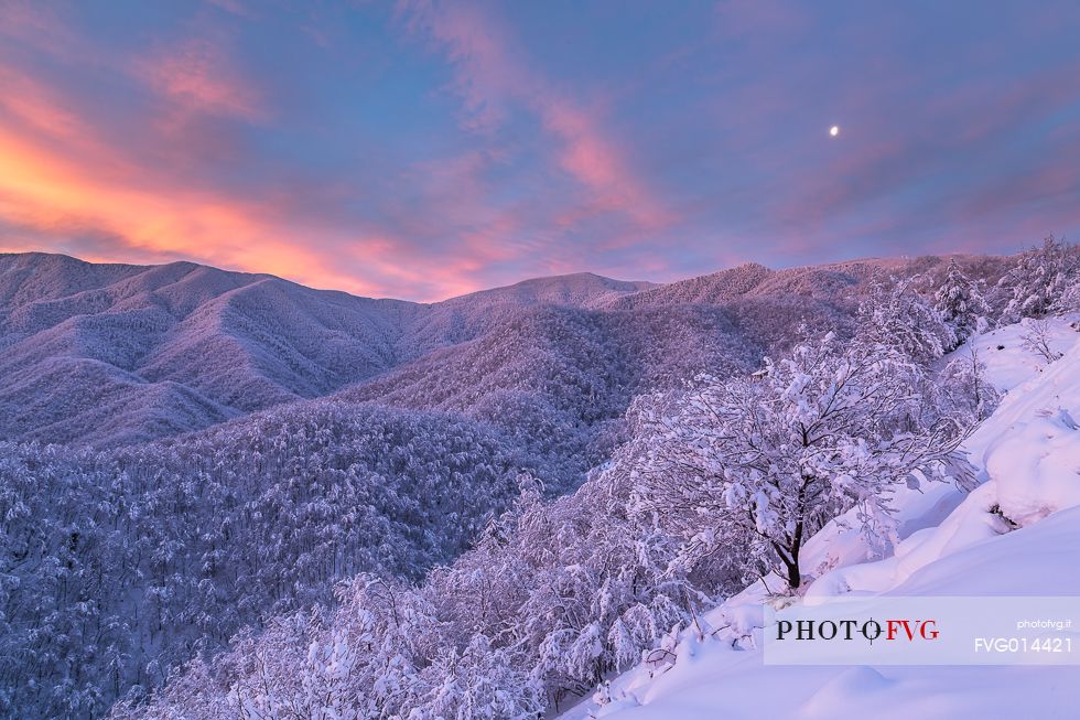 Sunrise with moon over the forest Sunrise with moon over the forest