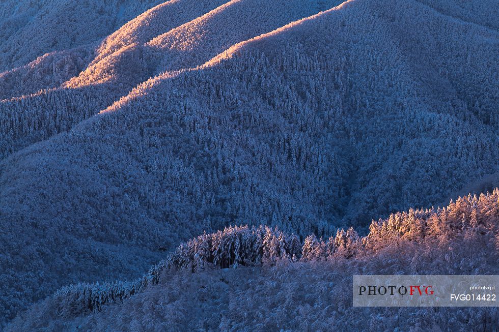 First rays of sun over the forest