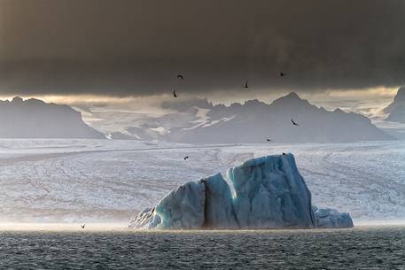 A monumental iceberg in the Jkulsrln lagoon at the dusk