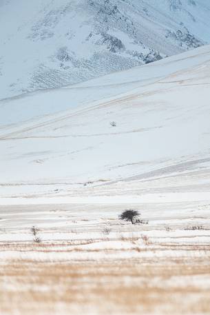 Graphisms of Piano Grande's hills, at the slopes of Monte Vettore, after a snowfall 