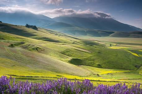 Morning view of Castelluccio, Piano Piccolo and Monte Vettore during the spring flowering