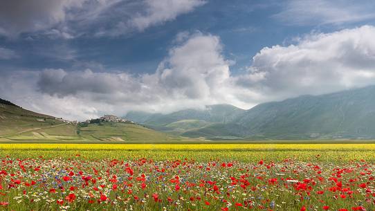 View of Castelluccio from Piano Grande during a spring flowering