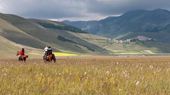 View of Castelluccio from Piano Grande during a spring flowering with horses