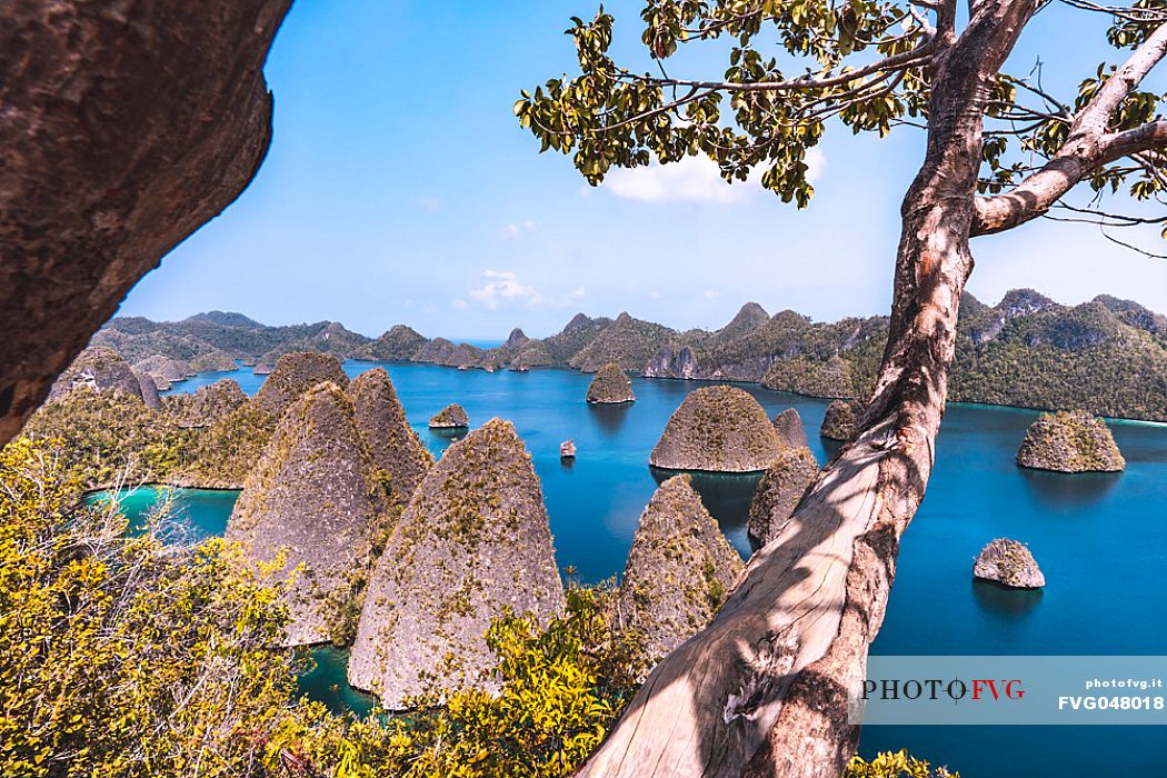 Amazing rock formations in Wayag Island, one of the Raja Ampat archipelago's most popular tourist spots. West Papua, New Guinea, Indonesia