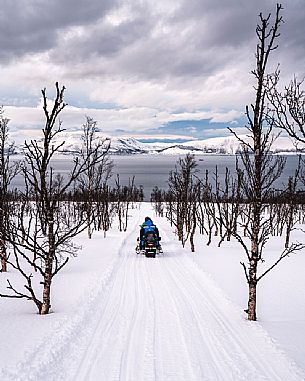 Snowmobile trip in the Lyngen Alps, Troms, Norway, Europe 
