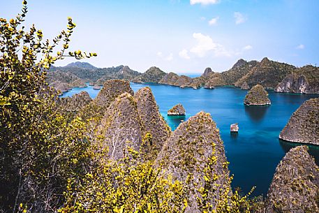 Amazing rock formations in Wayag Island, one of the Raja Ampat archipelago's most popular tourist spots. West Papua, New Guinea, Indonesia