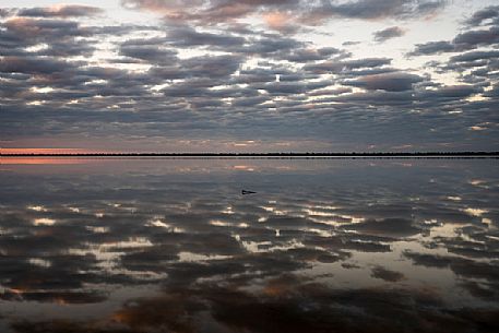 View over the Flamenco lagoon, a salt lagoon in the Paraguayan Chaco, Reserva Natural Campo Mara natural reserve, Paraguay, America