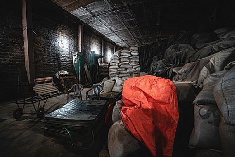 Inside a factory for the production of Yerba Mate in Concepcin, Paraguay, America