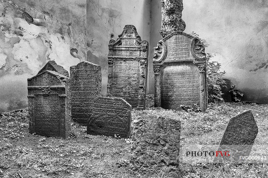 Old Jewish cemetery, Stary zidovsky hrbitov