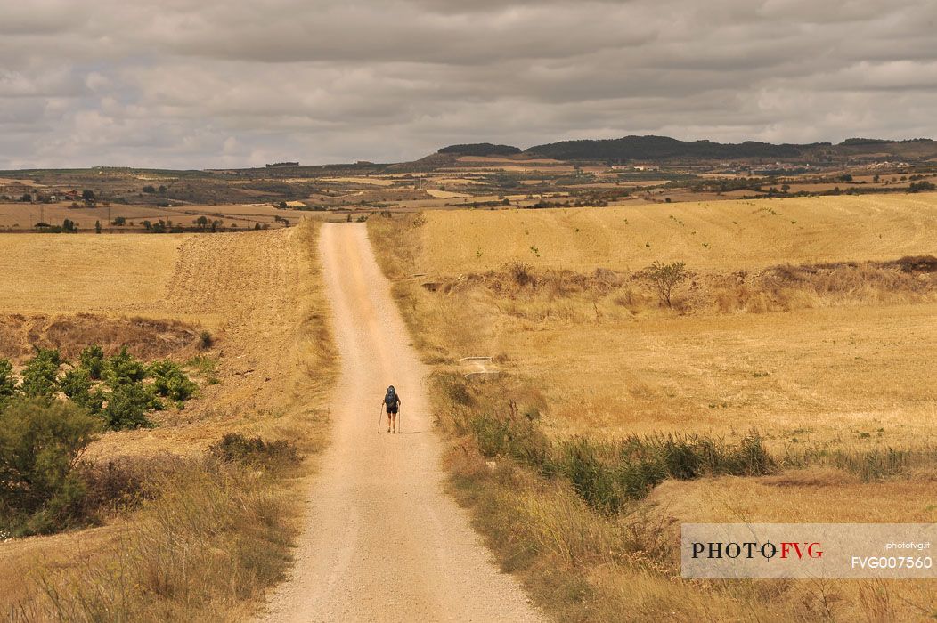 Way of St.James - Lonely pilgrim walking to Torres del Rio, Navarre, Spain