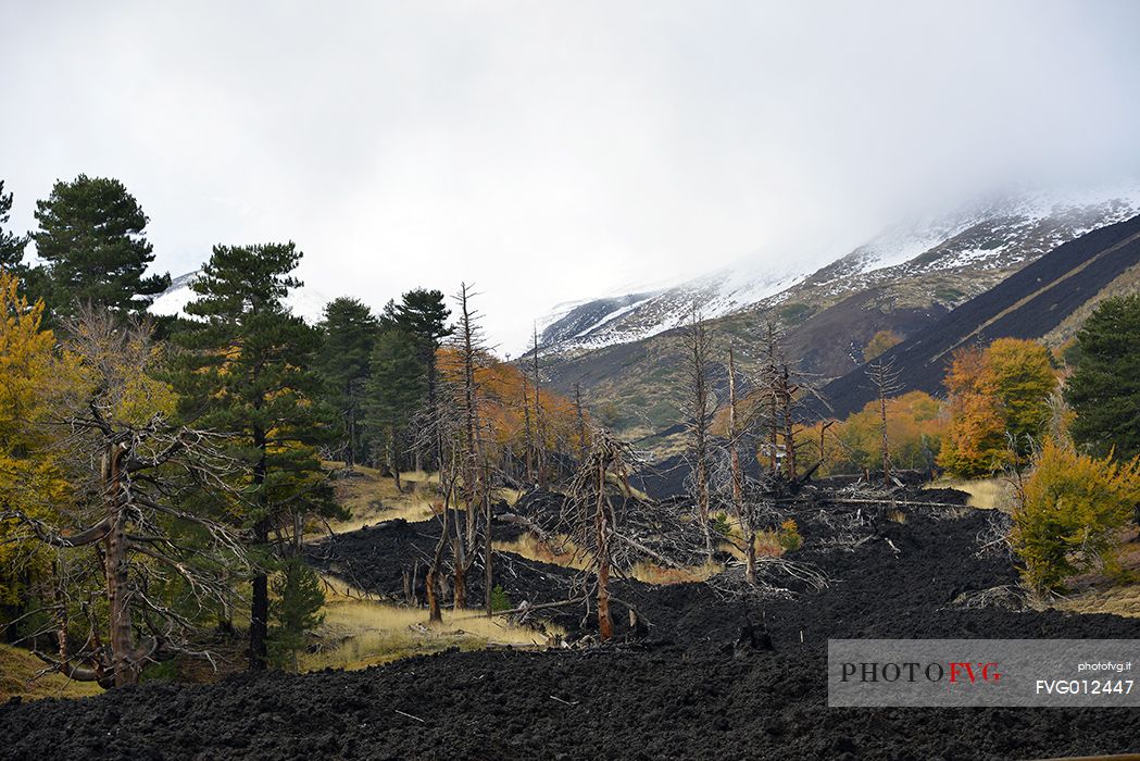 Etna Piano Provenzana