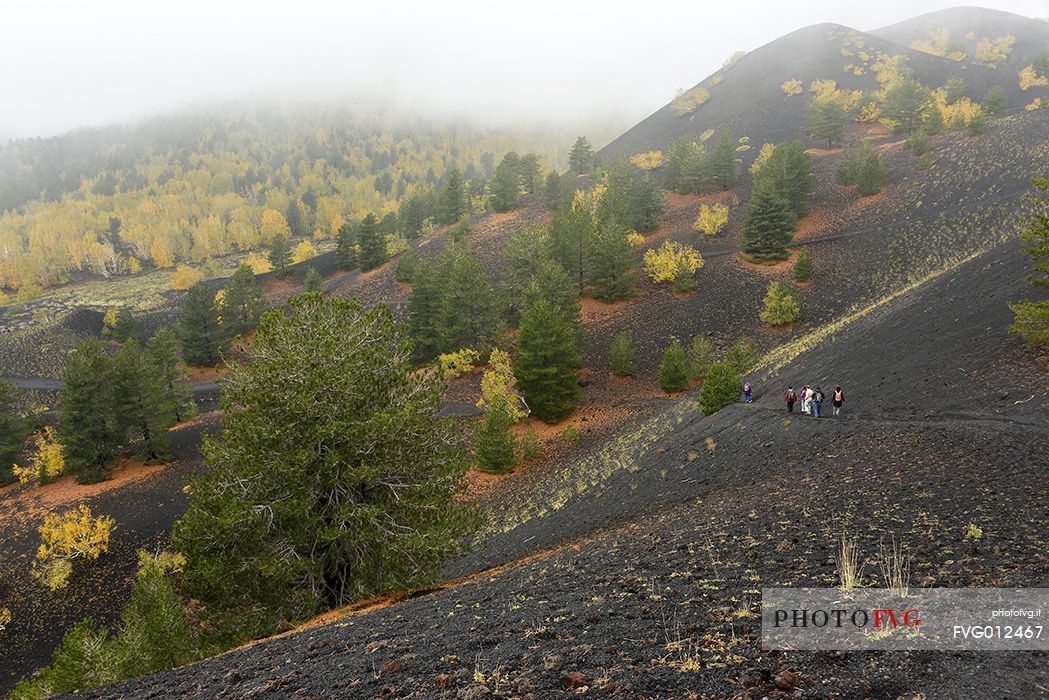 Hiking in the Sartorius Mountains, Etna national park, Sicily, Italy, Europe
