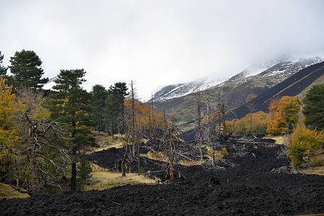 Etna Piano Provenzana