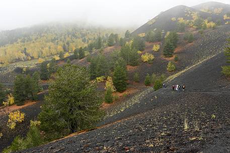 Hiking in the Sartorius Mountains, Etna national park, Sicily, Italy, Europe
