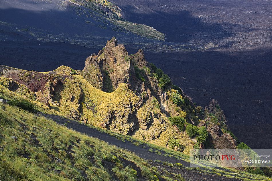 Magmatic dykes covered with vegetation in the Valle del Bove