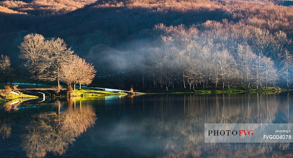 Beech trees on the shores of Lake Maulazzo in the fog