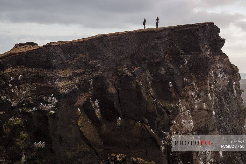 Peoples on Reykjanes cliff