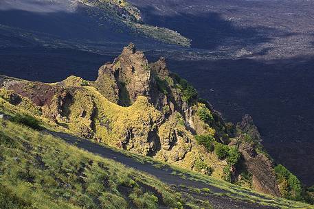 Magmatic dykes covered with vegetation in the Valle del Bove