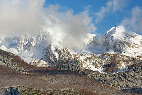 Heavy snowfall in the forest of Alpago near Cansiglio Forest ant in the background the Monte Cavallo mountain range, Belluno, Prealps, Veneto, Italy, Europe