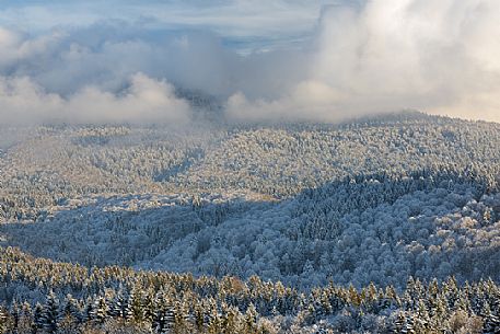 Heavy snowfall in the forest of Alpago near Cansiglio Forest. Low clouds, fog, wind, and sudden rays of light changed the landscape aspect unceasingly, Belluno, Prealps, Veneto, Italy, Europe