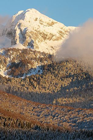 Heavy snowfall in the forest of Alpago near Cansiglio Forest ant in the background the Monte Cavallo mountain range, Belluno, Prealps, Veneto, Italy, Europe Heavy snowfall in the forest of Alpago near Cansiglio Forest ant in the background the Monte Cavallo mountain range, Belluno, Prealps, Veneto, Italy, Europe