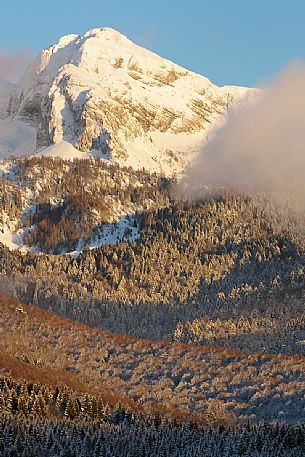 Heavy snowfall in the forest of Alpago near Cansiglio Forest ant in the background the Monte Cavallo mountain range, Belluno, Prealps, Veneto, Italy, Europe