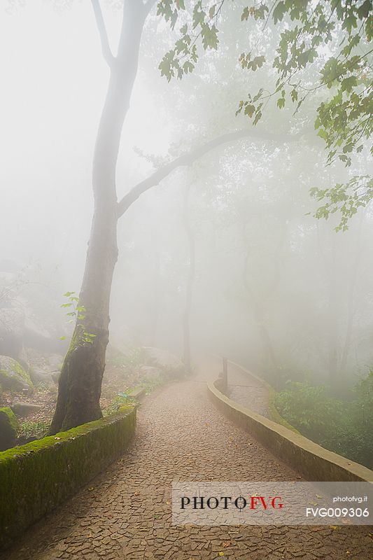 Path that leads to the castle of Mouros